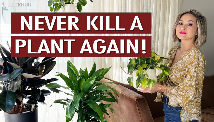 21 GENIUS Indoor Plant Hacks!